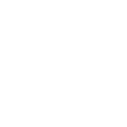 SparkKnights